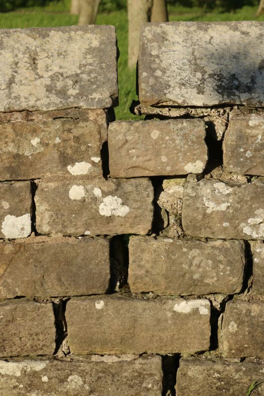 Brick Wall Repair